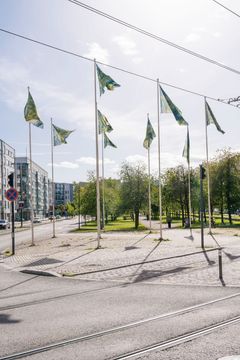 Germa Huijbers, Lippumeri (Sea of Flags), 2003. EMMA Collection at Alberganesplanadi
