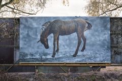 Jenni Tieaho, My Swee Horsey! 2023. EMMA Collection / Vermo