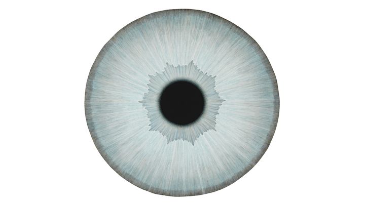 Ulla Wiggen, Iris XXVIII Jan, 2023. Saastamoinen stiftelsens konstsamling