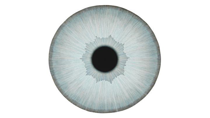 Ulla Wiggen, Iris XXVIII Jan, 2023. Saastamoinen Foundation Art Collection
