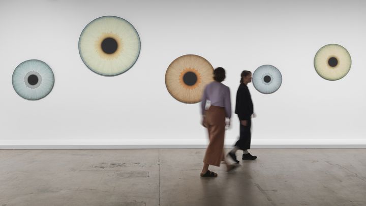 Ulla Wiggen: Passage