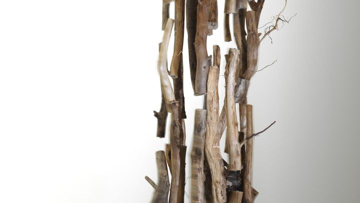 Yksityiskohta: Antti Laitinen, Helisevä metsä, 2025. InCollection © Ari Karttunen / EMMA – Espoon modernin taiteen museo