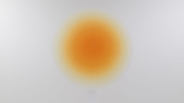 Helen Pashgian, Untitled (Lens) (yksityiskohta), 2023. Taiteilijan luvalla © Helen Pashgian | Kuva: Fredrik Nilsen