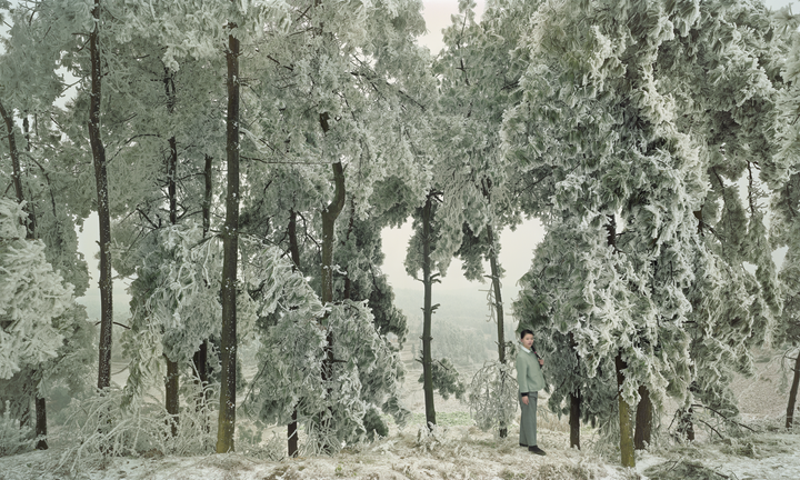 Chen Jiagang, Cold Forest, 2008. Kuva: Contemporary by Angela Li.