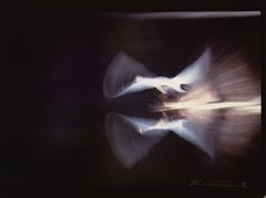 Hannu Hautala, hopeavärivalkaisuvedos, kesäkuu 1996. © Hannu Hautala -säätiö