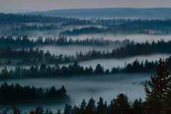 Hannu Hautala. Kirjasta Kesäyö, 1992. © Hannu Hautala -säätiö