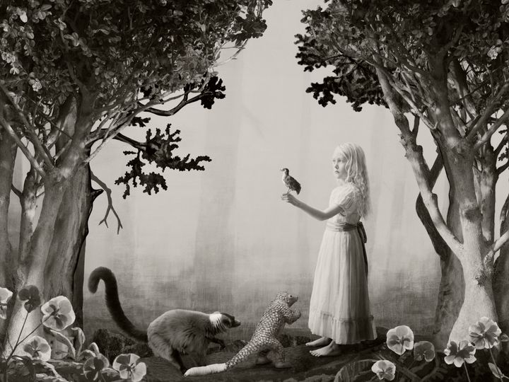 Helena Blomqvist, Birdgirl, 2022