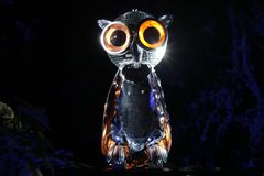 Jere Suontausta, Peilipollo/Bubo speculus II, 2021