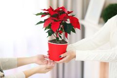 Ole joulupukkina seniorille -hyväntekeväisyyskampanja