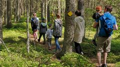 Teijon kansallispuistossa Muurahaispolulla aikuisia ja lapsia.