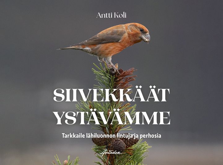 Kansi: Saara Hankama (kannen kuva: Antti Koli)