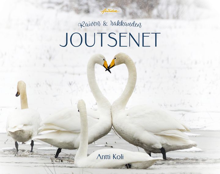 Kansi: Saara Hankama (kannen valokuva: Antti Koli)