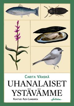 Kansi: Alexx Lundgren & Ulpu Kaikkonen
