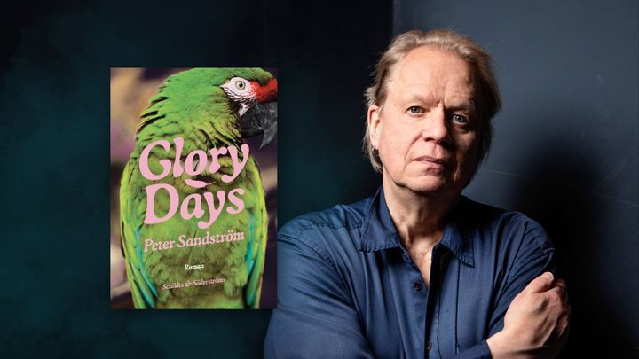 Peter Sandströms nya roman Glory Days