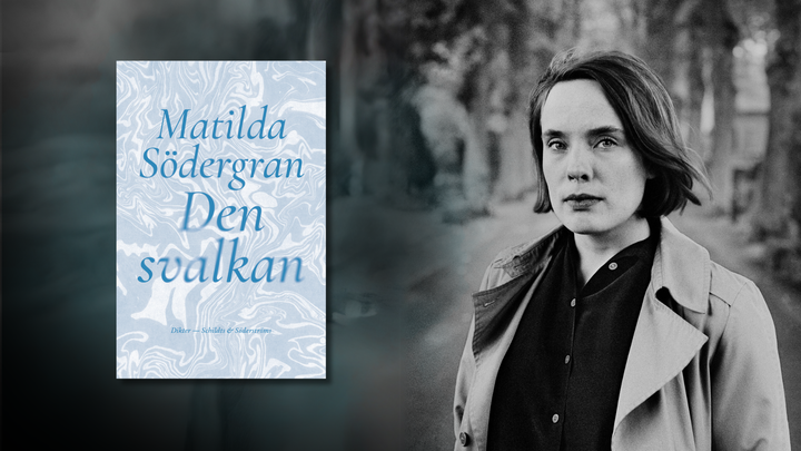 Den svalkan är Matilda Södergrans åttonde bok.
