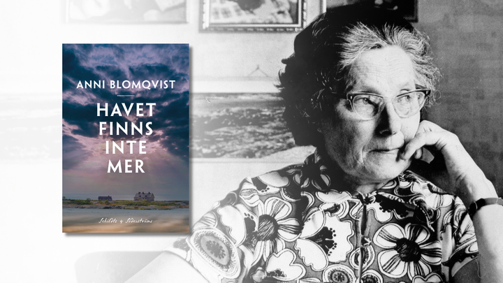 Havet finns inte mer är Anni Blomqvists sista bok – en stillsam berättelse om att förlora allt och ändå fortsätta leva.