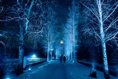 The light epic Retriitti, Finlandia osa 2 (“Retreat, Finlandia Part 2”) by Ekku Peltomäki attracted many people to the graves of the heroes in Hietaniemi Cemetery. Photo: Petri Anttila