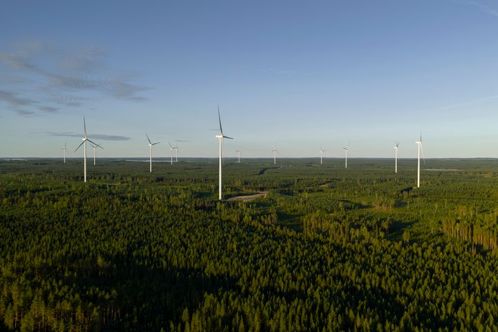 Niinimäki vindpark, byggd och förvaltad av OX2. Foto: Petteri Löppönen