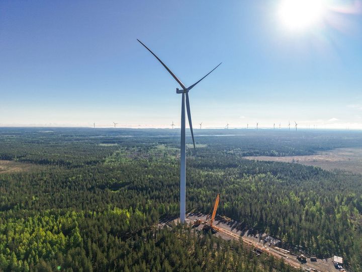 Honkakankaan tuulipuisto. Kuva: Henry Haataja