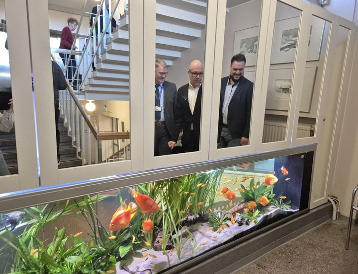 Akvaario Oulaskankaan sairaalan portaikossa.