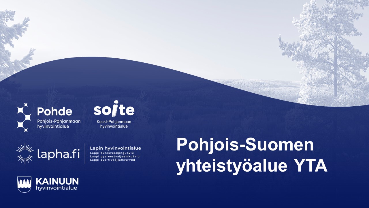 Pohjois-Suomen hyvinvointialueet ja ministeriöt neuvottelivat yhteistyöstä Oulussa