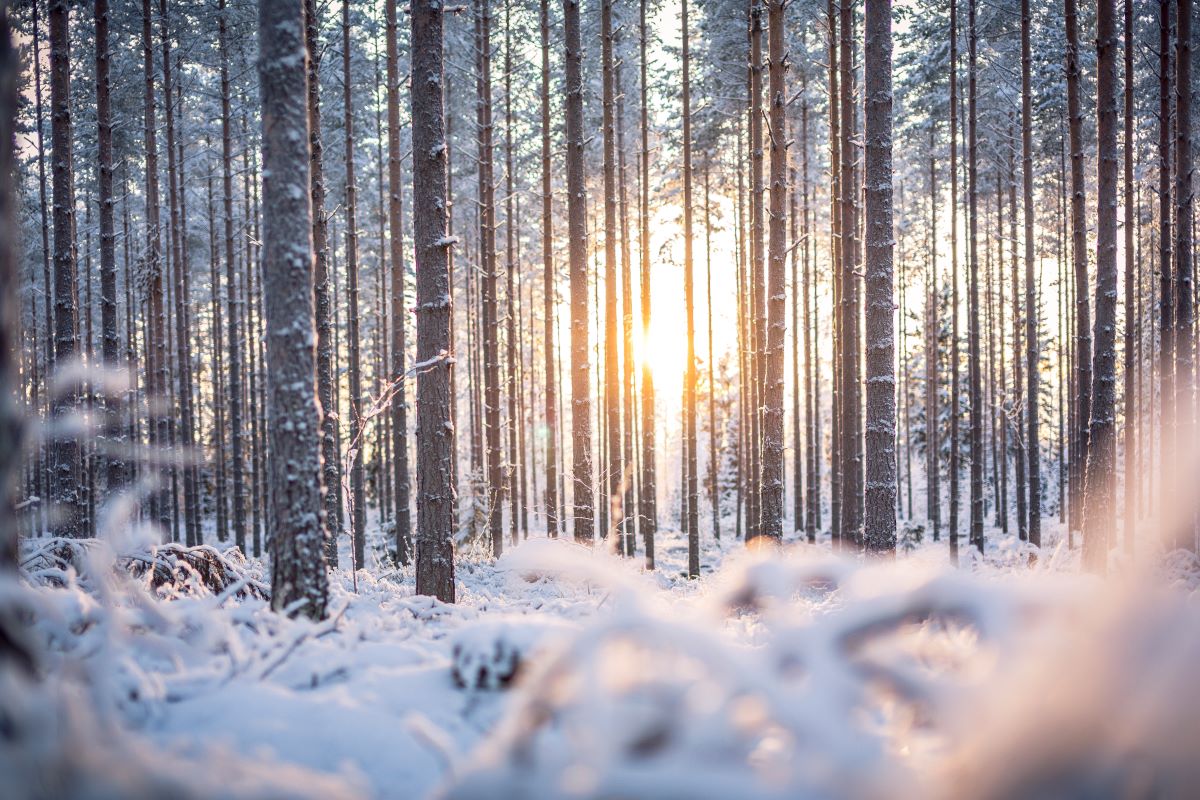 Omistajastrategiatyö käynnistyy