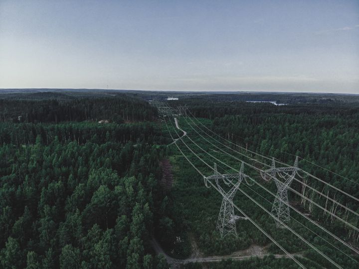 Kaksi suurjännitelinjaa kulkee metsän lävitse. Kuvituskuva