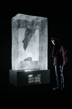 Kuvassa henkilö katsoo suurta jäälohkaretta, jonka sisällä on valokuva ihmishahmosta. Jää ja kuva symboloivat inhimillistä haurautta ja katoavaisuutta.