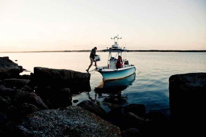 Henkilö astuu veneeseen kalliolta, ilta-aurinkoinen meri taustalla.