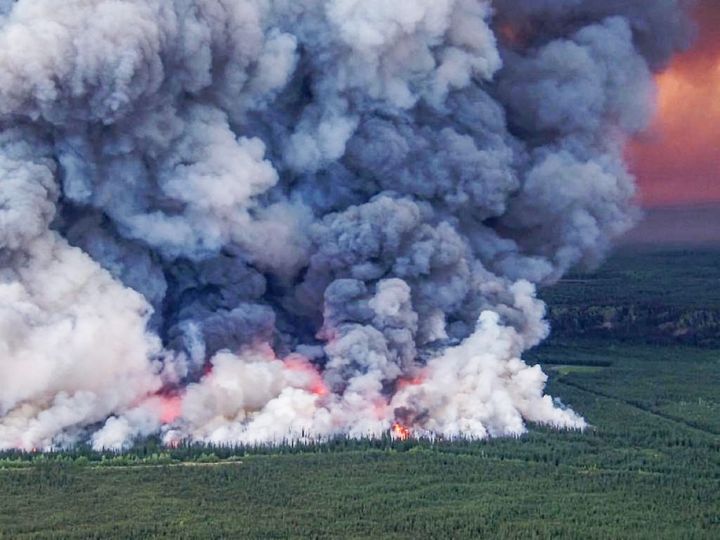 Iso metsäpalo nostattaa valtavan paksun ja laajan savupatsaan ilmaan pimentäen koko taivaan.