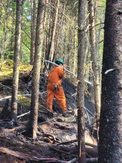 Oranssiin haalariin pukeutunut pelastaja suihkuttaa sammutusletkulla puiden runkoja. Maa ja osa rungoista ovat mustuneet. Pelastaja selän takana oleva maasto on vihreää.