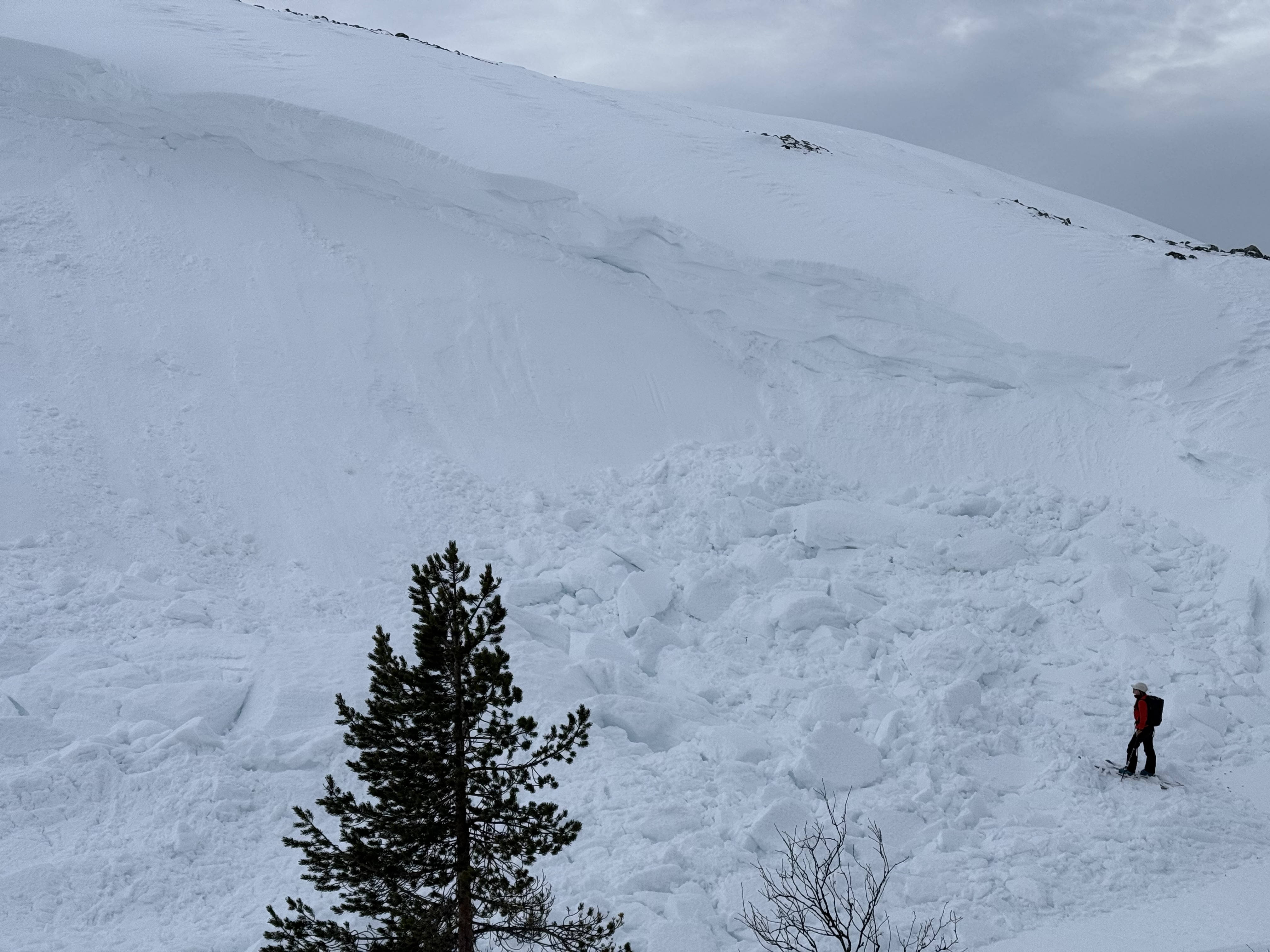 Papinkurun lumivyory