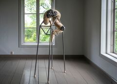 Kim Jotuni: Emergent Form, 2024.