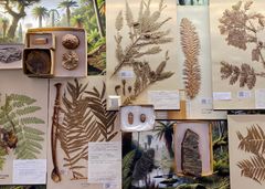 Raimo Saarinen, Yksityiskohta teoksesta 201 300 000 vuotta sitten.