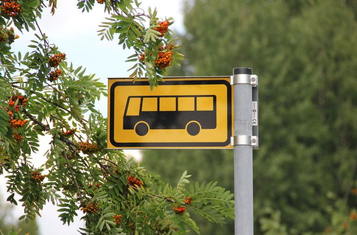 Bussipysäkin merkki ja taustalla pihlajia.