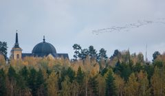 Hanhiparvi ohittaa Rääkkylän kirkon 2.10.2023. Kuva: Jari Kontiokorpi / Pohjois-Karjalan ELY-keskus.
