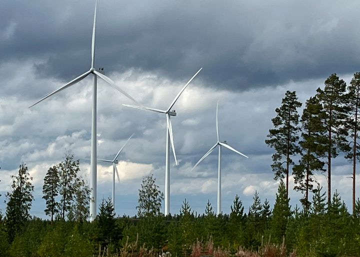 Neljä tuulivoimalaa pilvisenä kesäpäivänä.