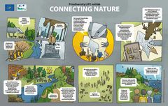 Sarjakuva Priodiversity LIFE esittää: Connecting Nature