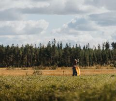 KoroKausi-projektet hjälpte gårdarna att få kunnig säsongsarbetskraft under coronakrisen.