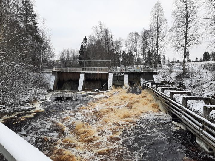 Kuva Jyllinpadosta, joka sijaitsee Karvianjoella