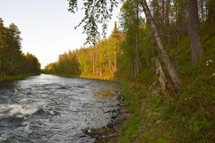 Kitkajoki-Arvungin suojelualuetta.
