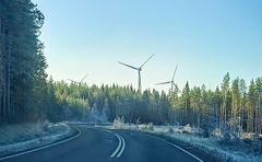 Metsän halki kulkeva maantie, metsän takana tuulivoimaloita.