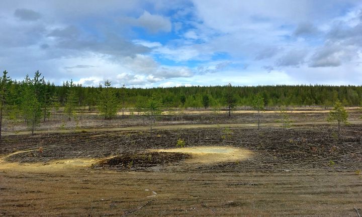 Kuvassa on rikastushiekka-alue Kemijärvellä sijaitsevalla Kärväsvaaran entisellä kaivosalueella.