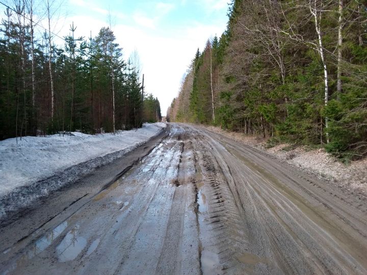 Keväällä roudan sulamisen yhteydessä pehmennyt hiekkatie.