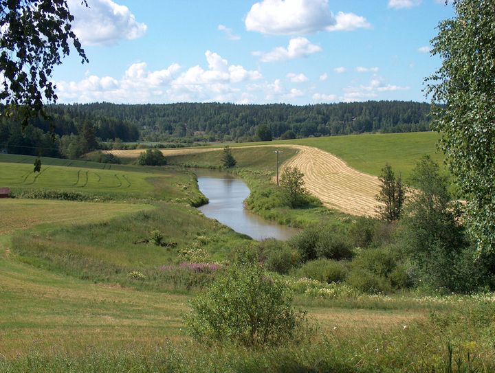 Peltomaisemaa, jonka keskellä virtaa joki.