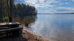 Järvimaisema, jossa vedenpinta normaalia korkeammalla.