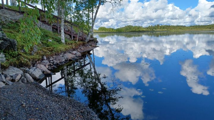 Maisema järvenrannalta.