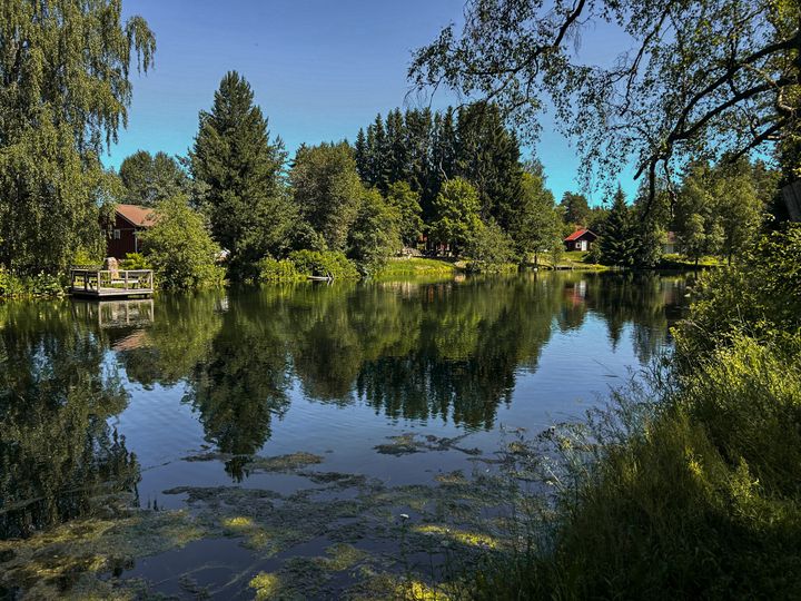 Vehreä maisema Köyliön Kuninkaanlähteeltä.