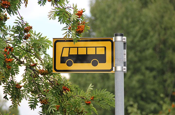 Bussipysäkin merkki, taustalla pihlajanmarjoja.