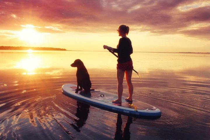 Koira ja nainen sup-lautailemassa ilta-auringossa.